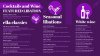 Cocktails and Wine Digital menu Template