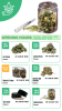 Dispensary flower menu part 1