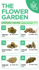 Dispensary flower menu part 2